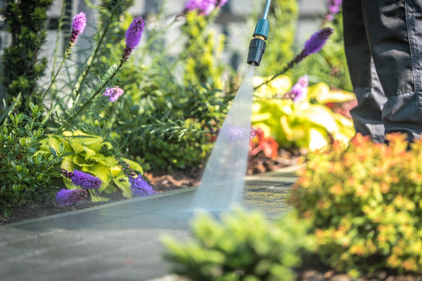 Gardening Cleaning