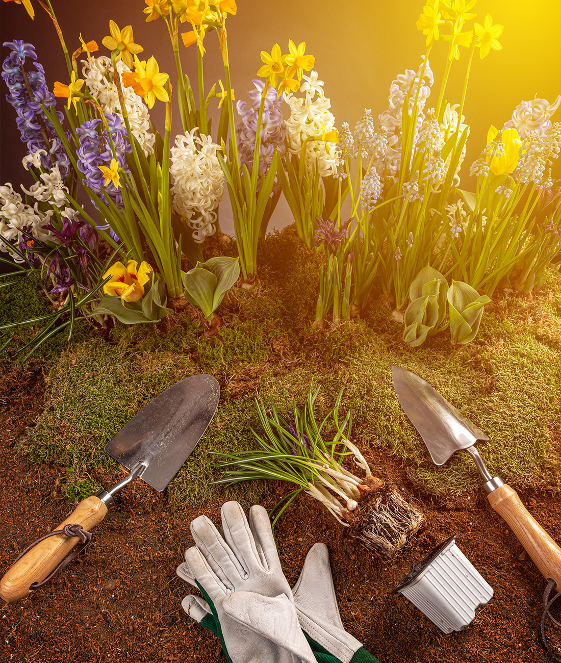 Gardening Tools and Flowers